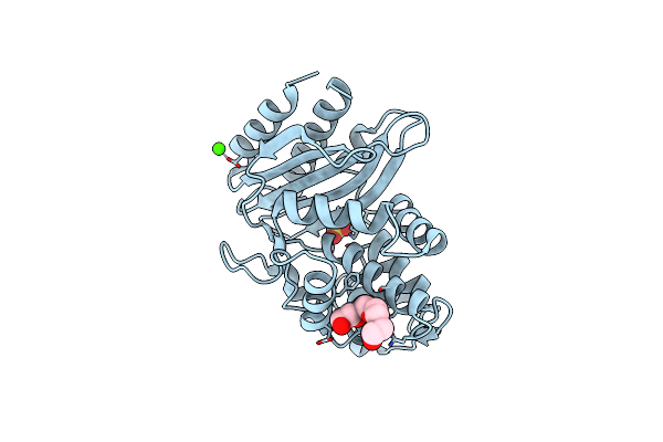 4OPR image
