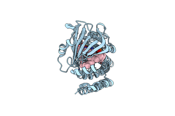 4OPU image