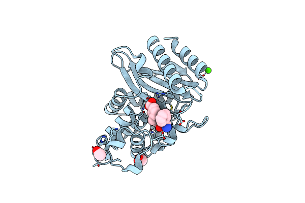 4OPZ image