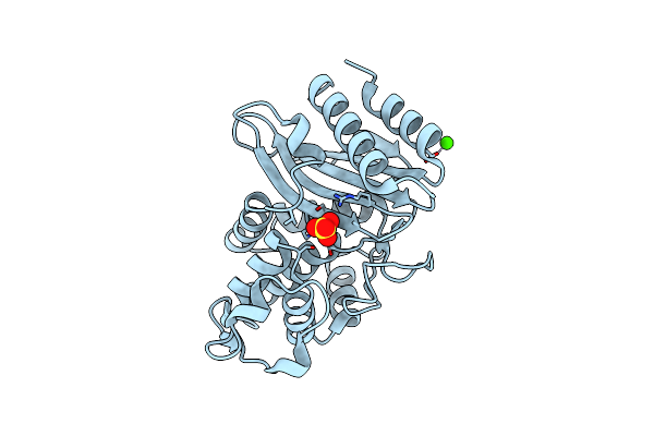 4OQI image