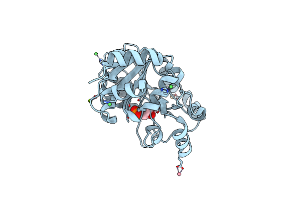 4OQP image