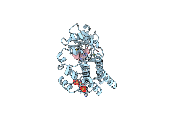 4OTF image