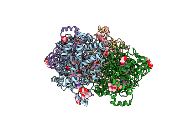4OTJ image