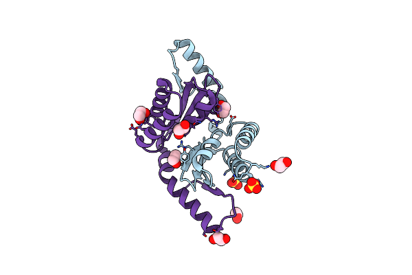 4OTN image