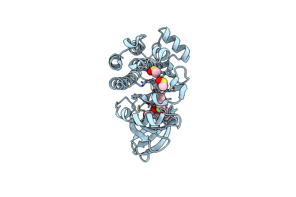 4OTR image