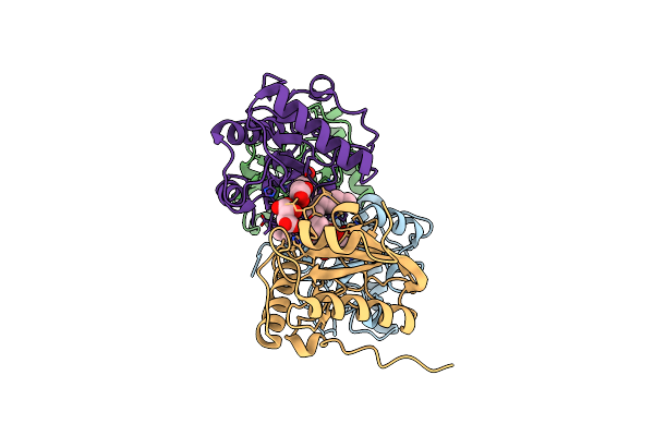 4OUG image