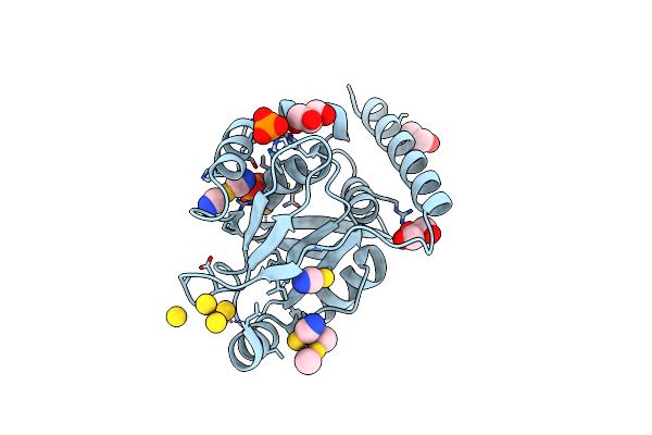 4OVB image