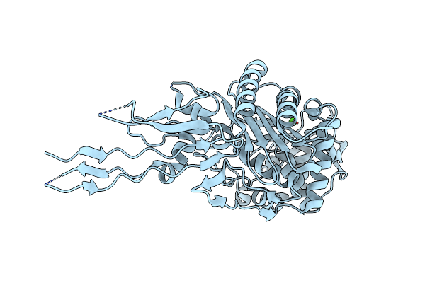 4OVD image