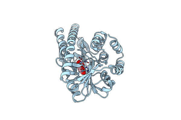 4OVQ image