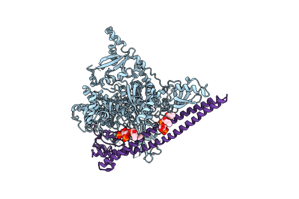 4OVV image