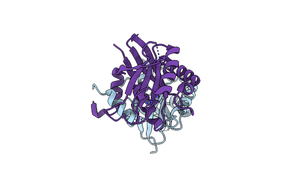 4OWP image