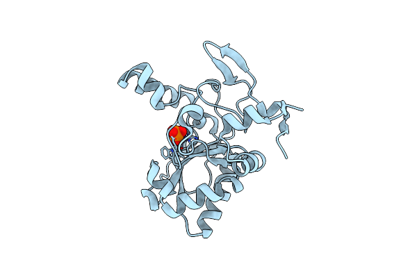 4OX3 image