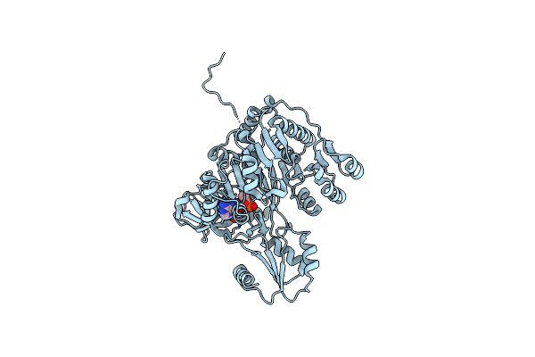 4OXI image