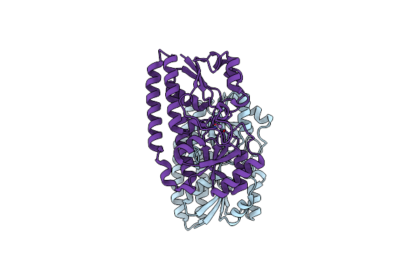 4OXR image