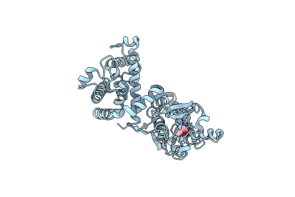4OXV image