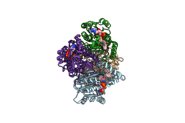 4OXY image
