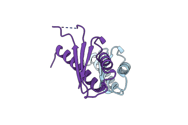 4OYC image