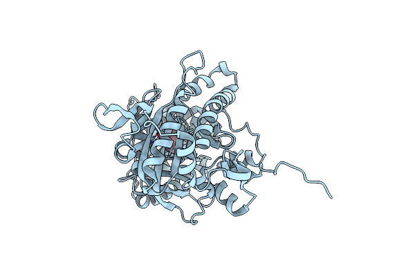 4OYP image