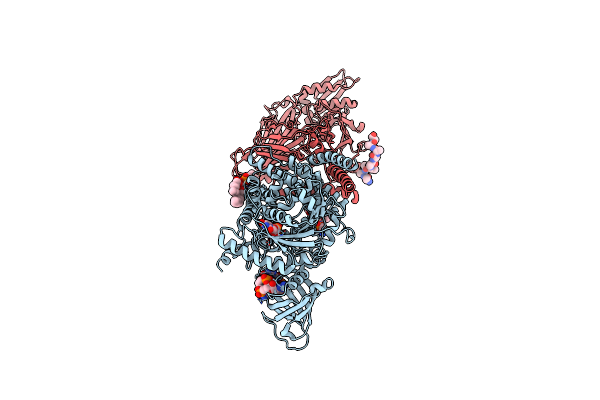 4P00 image