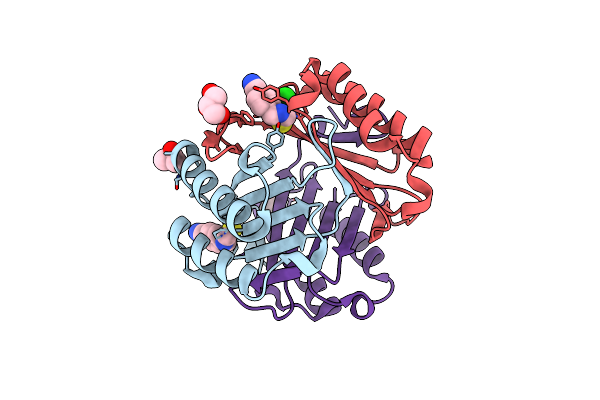 4P01 image