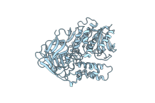 4P08 image