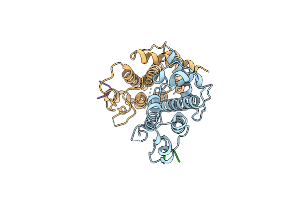 4P0B image