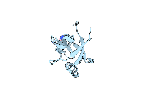 4P0C image