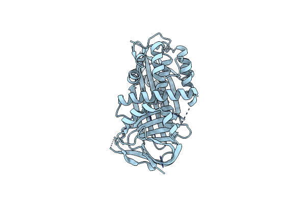 4P0F image