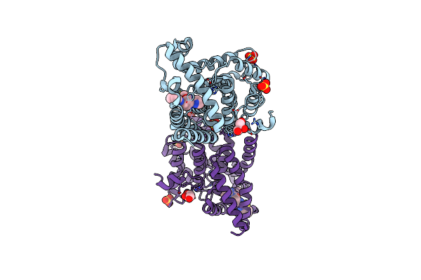 4P0N image