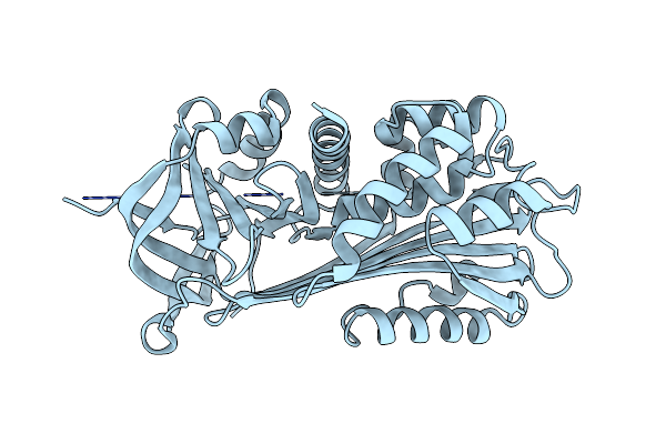 4P0O image
