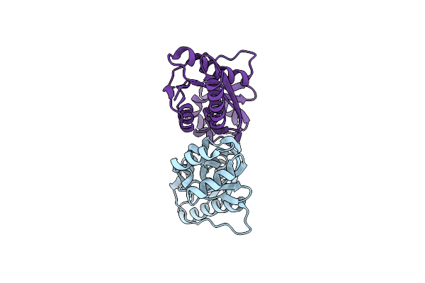 4P0U image