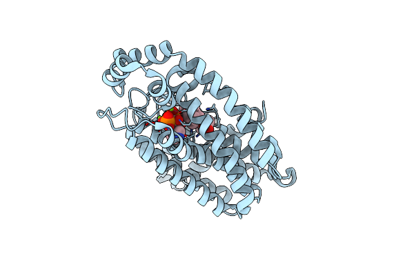 4P0V image