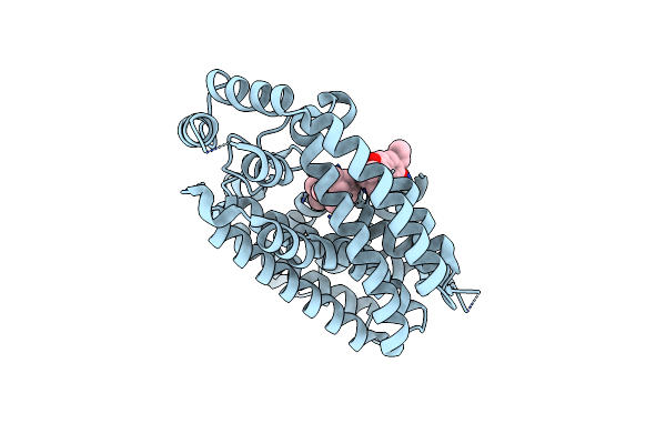 4P0X image