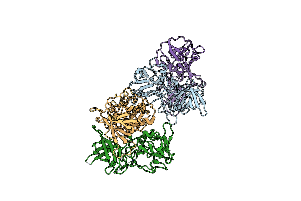 4P12 image