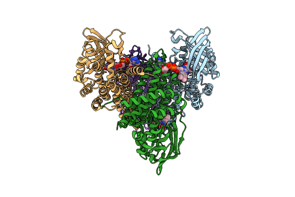 4P13 image