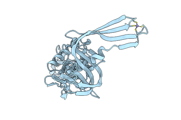 4P16 image