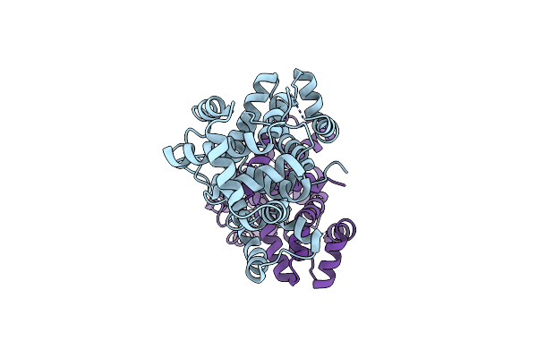 4P17 image