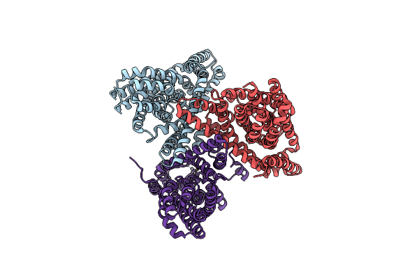 4P19 image