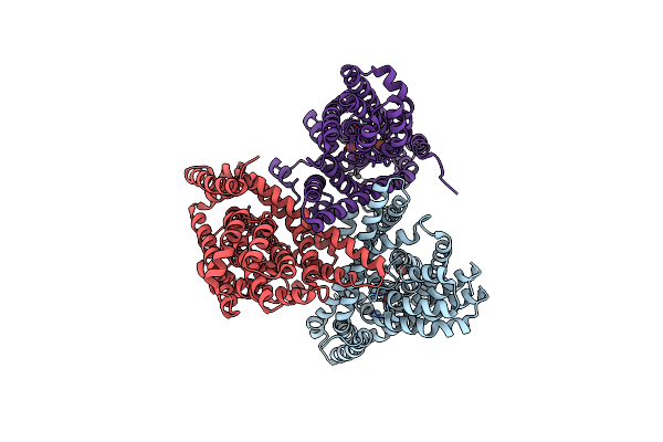 4P1A image