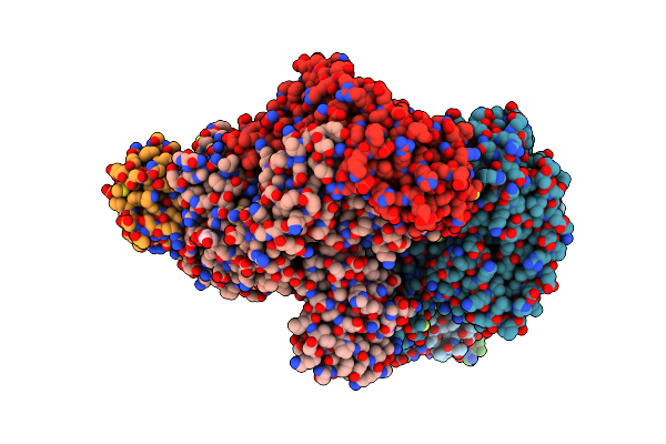 4P1B image