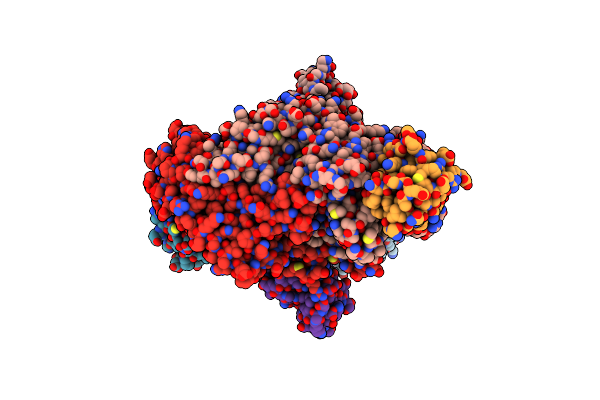 4P1C image