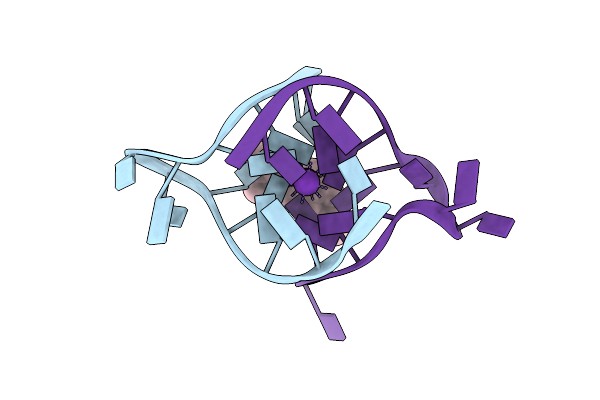 4P1D image