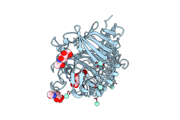 4P1J image