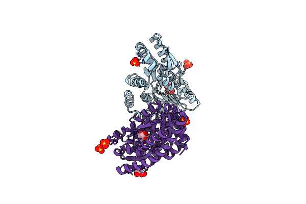 4P1L image