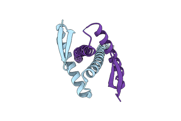 4P1M image