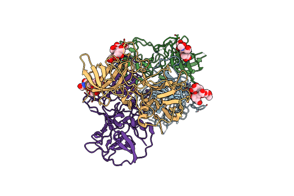 4P1V image