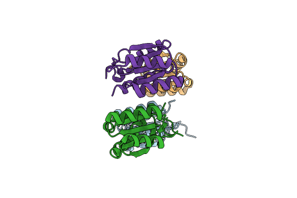4P1Z image