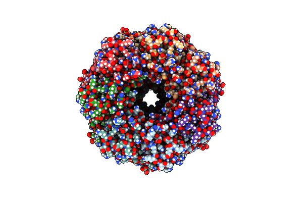 4P24 image