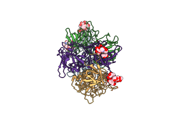 4P25 image