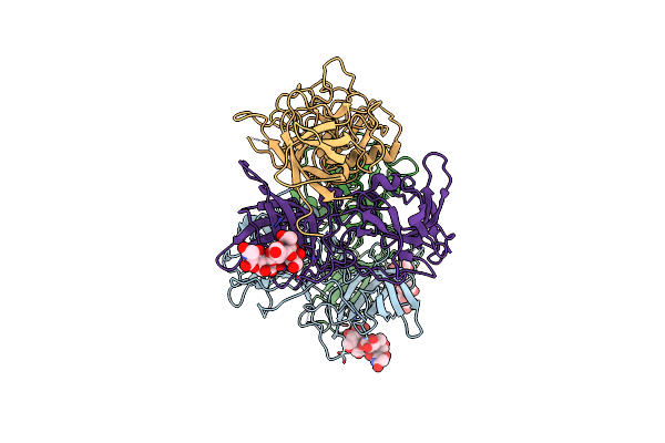 4P26 image